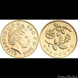 1 pound 2013