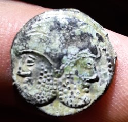 Suessions A/Tete janiforme barbue R/Lion a g -50-40 D16.8 P 2.46g LT8106 DT562