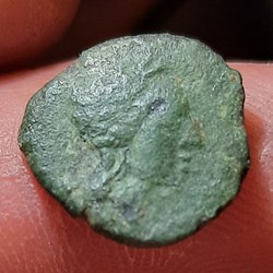 Peri Massaliete A/Tete Apollon a d R/Cheval ou Taureau a d D14.4 P2.40g Ref inconnue