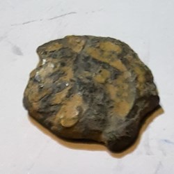 Basse Vallee du Rhone A / Tete cheveux hirsutes R/ Taureau a d -100-50 D13 P1.58 Feugere PBI 53