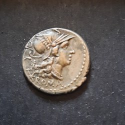 Servilia A/Tete de Rome R/Dioscures SERVEILI MF exergue -136 D 19.6 P 3.92 RCV 116