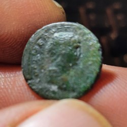 Trajan A/ Tete lauree a d R / Louve marchant a g D 15.8 P2.26g C340RIC694 RCV 3246