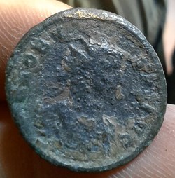 Probus Rome