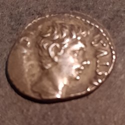 Auguste A/Tete nue a d R/Bouclier votif -19 D 19 P3.71 RCV 1633 C 265 RIC 86a