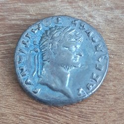 Domitien A/Tete a d R/Pegasse a d +76 D18.1 P 2.44 RCV2637 RIC921