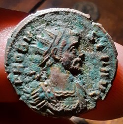 Probus A / Buste radie a d R /Empereur a cheval a g 278:282 D21 P 3.84g RIC155?