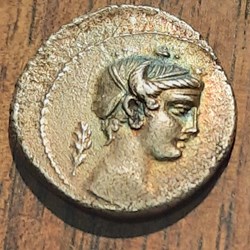 Plaetoria A/Buste de la destinee a d R/ Vase a sacrifice et torche -69 D18.7 P 3.50g RCV343