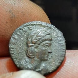 Theodora A/Tete diademee a d R /Piete debout a d 337+340 D14.9 P1.91g RIC65 C113 RC3910