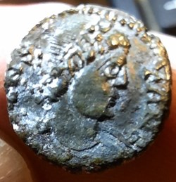 Constans (sans titulature)? IMITATION ?