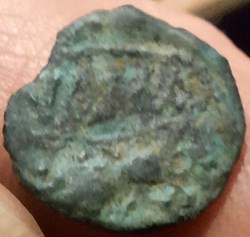 Nimes Petit bronze au sanglier