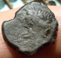 Nimes imitation Petit bronze au sanglier