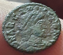 Arcadius semble rare
