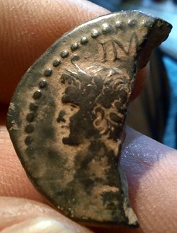 Nimes demi dupondius A/Tete Agrippa a g R/Crocodile -16-10 D26.1 P8.50g