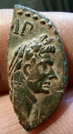 Nimes demi dupondius A/Tete Auguste a d R/Crocodile -9-3 D25 P 4.81g