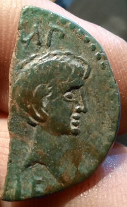 Nimes demi dupondius A/Tete Octave a d R/Crocodile -16-15 D25.7 P6.80g