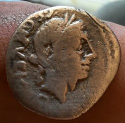 Egnatuleia