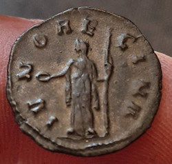 Rome Salonine