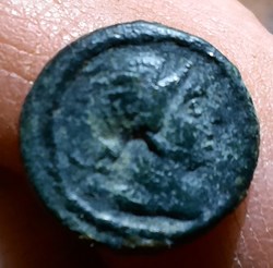Grecques Seleucide Nicator 1° A / Tete Apollon a d R/ Lyre D11.4 P1.41 g