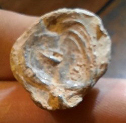 Poincon ou coin Monetaire antique (sud est) visage a g  P 37.54g forme conique