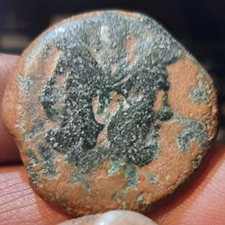 Republique romaine A/Tete de Janvs R/Proue de navire a d D30.5 P19.67g RCV627 RRC 56/2