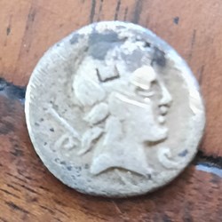 Crepusia A /Tete lauree Apollon R/Cavalier a d D 16.8 P3.33g RCV 283 RRC 361/1c