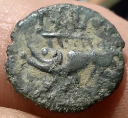 Nimes Petit bronze au sanglier