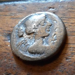 Titia A/Buste de la victoire a d R/Pegasse a d D13.6 P1.91g RCV 240