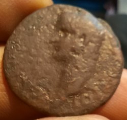 Rome Caligula As
