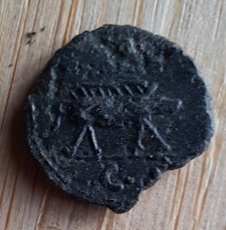 Trajan A/Tete lauree a d R /Sanglier a d D14.1 P1.09 RIC702 C 341 RCV 3248