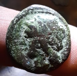 Campanie A/Tete Apollon a g R/Taureau a d ,victoire -265-240 D20.1 P6.72g ANS 604 GC 566 var