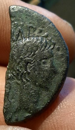 Nimes demi dupondius A/ Tete Octave a d R/Crocodile -16-15 D26.4 P6.95g
