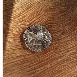 Marseille ?1/4 Obole A/Hyppalectryon ou lion? R/Carre creux -500-475 D0.6 P0.23