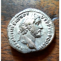 Antonin et Marc Aurele A/Tete lauree a d R/Tete nue a d D17 P3.48g RCV4523 RIC 415 c C 21