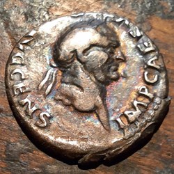 Vespasien A/Tete a d R/Vespasien assis a d D 19.1 P 2.87g RCV 2305 C 387 RIC 65