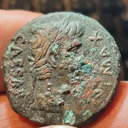 Auguste A/Tetelaureea d R / Autel de Lyon D24.4 P11.48g C240 RIC230 RCV1690