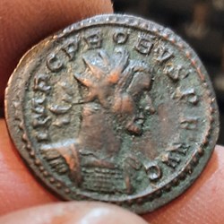 Probus A / Buste radie a d R/Mars casque a g +278+279 D22.6 P4.41g RIC 112 C6 /334 -816