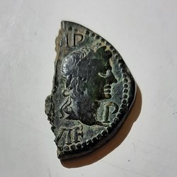Nimes As A/Tete d auguste lauree R/Crocodile -14-10 D 28.3 P 6.92 LT 2837