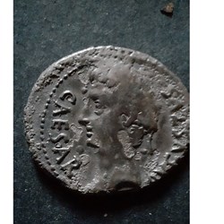 Auguste A/ Tete a g CAESAR AVGVSTVS.R/Etoile DIVVS IVLIVS -19-18 D20.7P3.06 RCV 1607