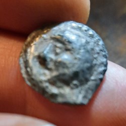 Haute et moyenne seine A/Tete chauve a g R/Sanglier enseigne a g D17.5 P3.26g LT manque