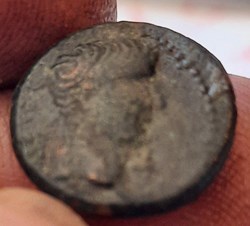 Auguste A/Tete nue a d R/Biges et boeufs D16.9 P4.13g RPC1656 BMC.86