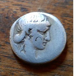 Republique Romaine possible Scribonia D 16.6 P 3.48g