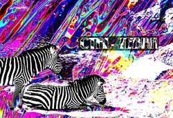 Zebra Blockchain Art