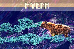 Hyena Blockchain Art