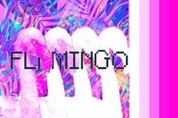 Flamingo Blockchain Art