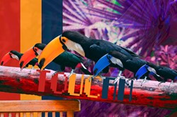 Toucan Blockchain Art