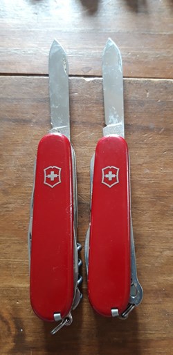 VICTORINOX ROUGES