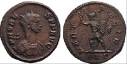 Probus Rome MPR 491