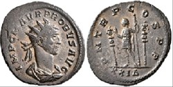 Probus Rome MPR 065