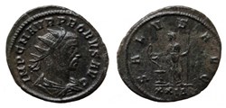 Probus Rome MPR 021