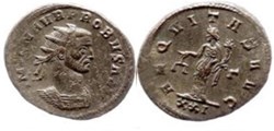 Probus Rome MPR 013